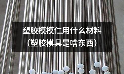 塑膠模模仁用什么材料（塑膠模具是啥東西）