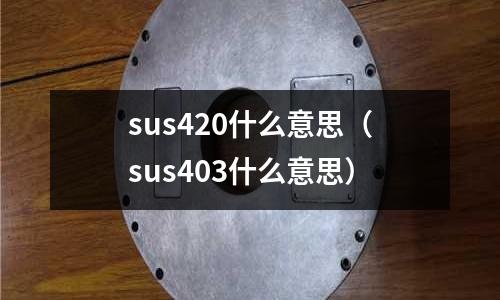 sus420什么意思（sus403什么意思）