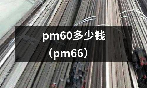 pm60多少錢（pm66）