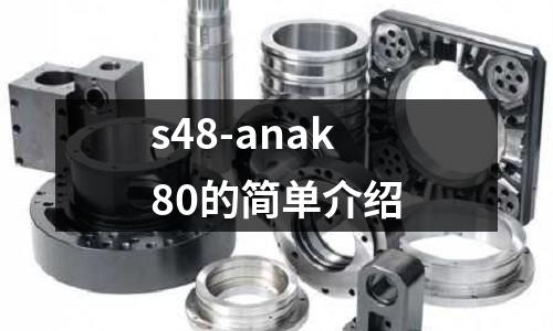 s48-anak80的簡單介紹