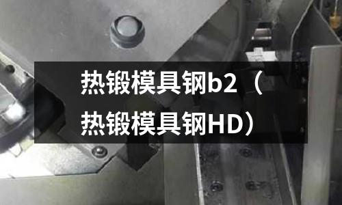 熱鍛模具鋼b2(熱鍛模具鋼HD)