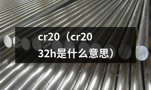 cr20(cr2032h是什么意思)