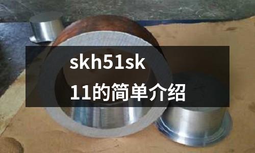 skh51sk11的簡(jiǎn)單介紹