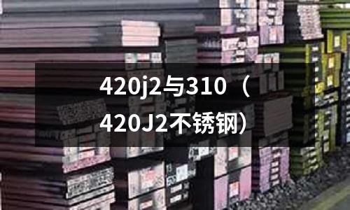 420j2與310（420J2不銹鋼）