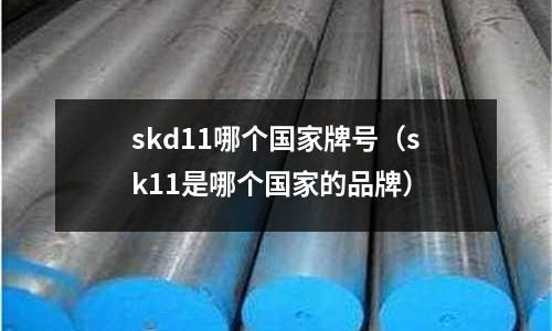 skd11哪個國家牌號（sk11是哪個國家的品牌）
