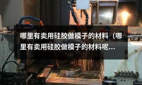 哪里有賣用硅膠做模子的材料（哪里有賣用硅膠做模子的材料呢）