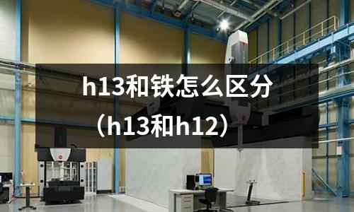 h13和鐵怎么區分（h13和h12）