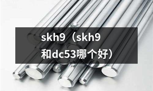 skh9（skh9和dc53哪個好）