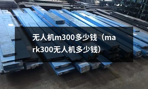 無人機(jī)m300多少錢（mark300無人機(jī)多少錢）