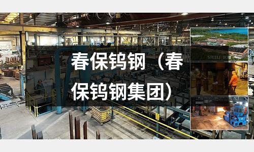 春保鎢鋼（春保鎢鋼集團）