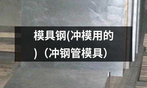 模具鋼(沖模用的)（沖鋼管模具）