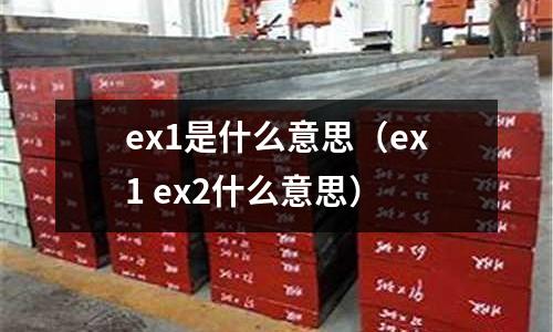 ex1是什么意思（ex1 ex2什么意思）