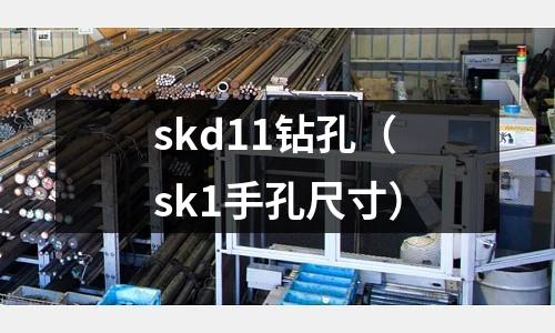 skd11鉆孔（sk1手孔尺寸）