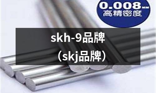skh-9品牌（skj品牌）