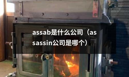assab是什么公司(assassin公司是哪個)