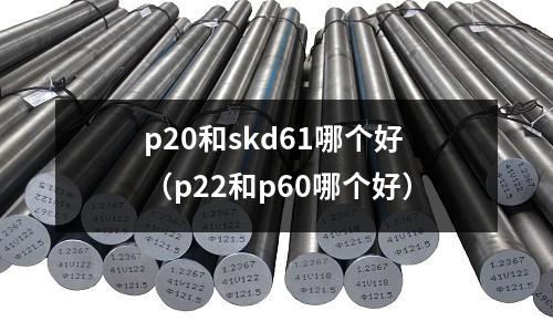 p20和skd61哪個(gè)好(p22和p60哪個(gè)好)