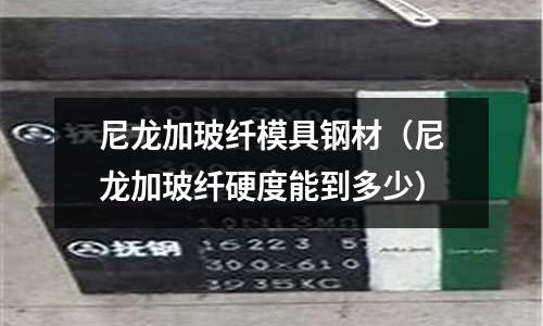 尼龍加玻纖模具鋼材(尼龍加玻纖硬度能到多少)