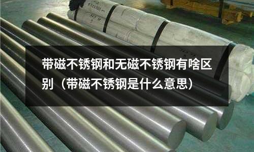 帶磁不銹鋼和無磁不銹鋼有啥區(qū)別（帶磁不銹鋼是什么意思）