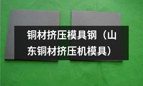 銅材擠壓模具鋼（山東銅材擠壓機模具）