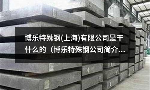 博樂特殊鋼(上海)有限公司是干什么的（博樂特殊鋼公司簡介）