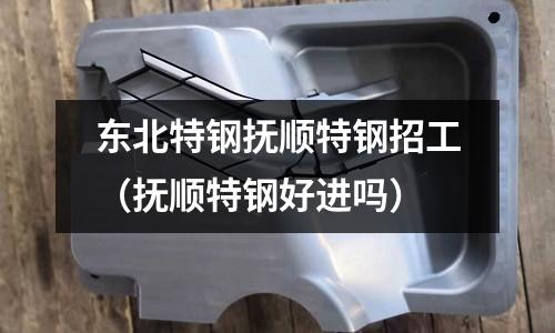 東北特鋼撫順特鋼招工(撫順特鋼好進嗎)