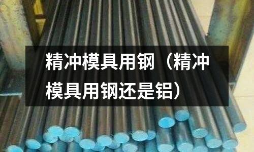 精沖模具用鋼（精沖模具用鋼還是鋁）