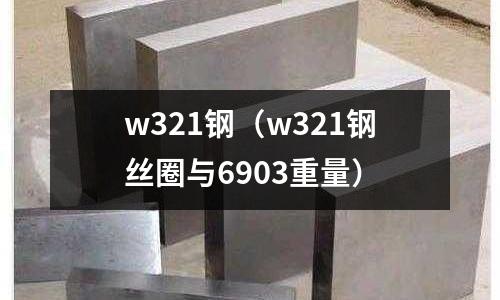 w321鋼(w321鋼絲圈與6903重量)