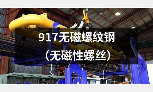 917無磁螺紋鋼（無磁性螺絲）