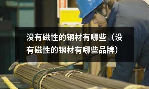 沒有磁性的鋼材有哪些（沒有磁性的鋼材有哪些品牌）