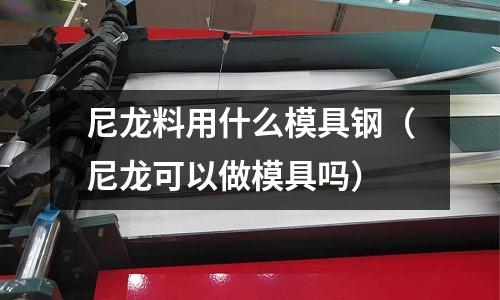 尼龍料用什么模具鋼（尼龍可以做模具嗎）