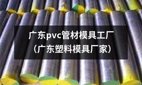 廣東pvc管材模具工廠（廣東塑料模具廠家）