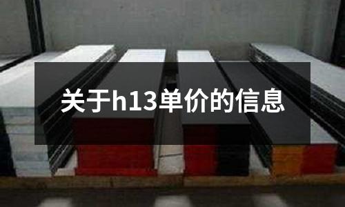 關(guān)于h13單價的信息