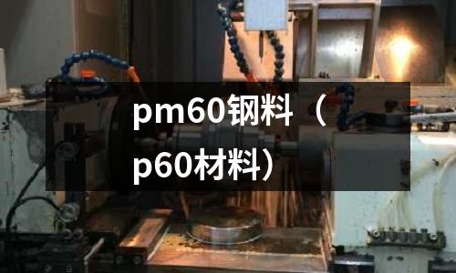 pm60鋼料（p60材料）
