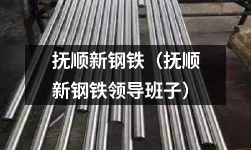 撫順新鋼鐵（撫順新鋼鐵領導班子）