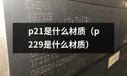 p21是什么材質（p229是什么材質）