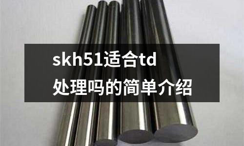 skh51適合td處理嗎的簡單介紹