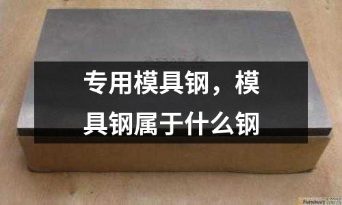 專用模具鋼，模具鋼屬于什么鋼