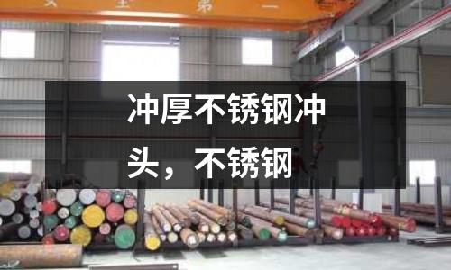 沖厚不銹鋼沖頭，不銹鋼