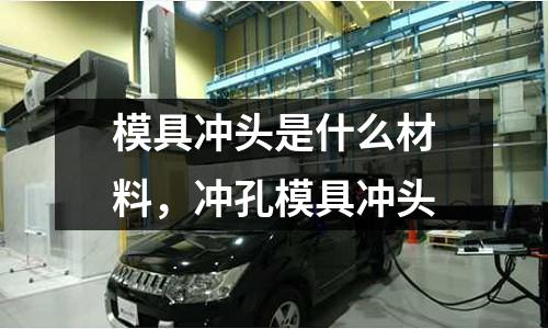 模具沖頭是什么材料,沖孔模具沖頭