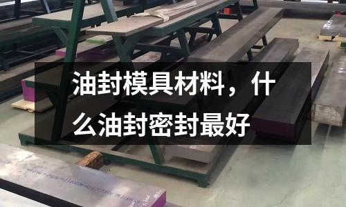 油封模具材料，什么油封密封最好