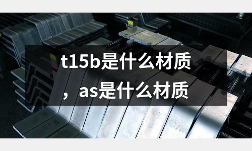 t15b是什么材質,as是什么材質