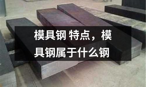 模具鋼 特點(diǎn)，模具鋼屬于什么鋼