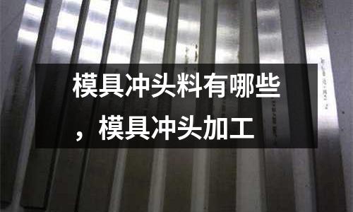 模具沖頭料有哪些，模具沖頭加工