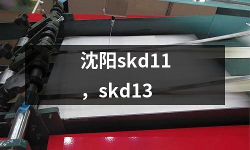沈陽skd11，skd13