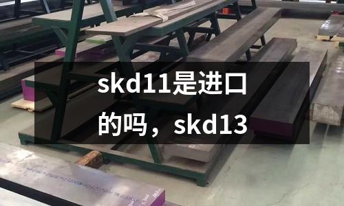 skd11是進口的嗎，skd13