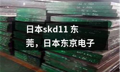 日本skd11 東莞,日本東京電子