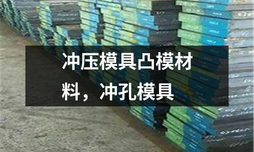 沖壓模具凸模材料，沖孔模具
