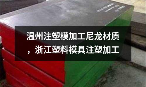 溫州注塑模加工尼龍材質(zhì),浙江塑料模具注塑加工