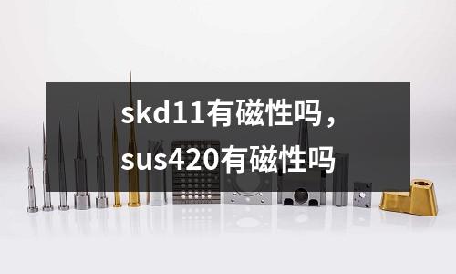 skd11有磁性嗎,sus420有磁性嗎