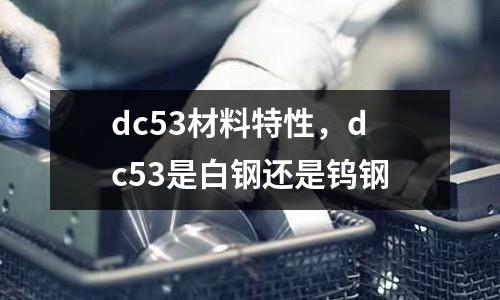 dc53材料特性，dc53是白鋼還是鎢鋼